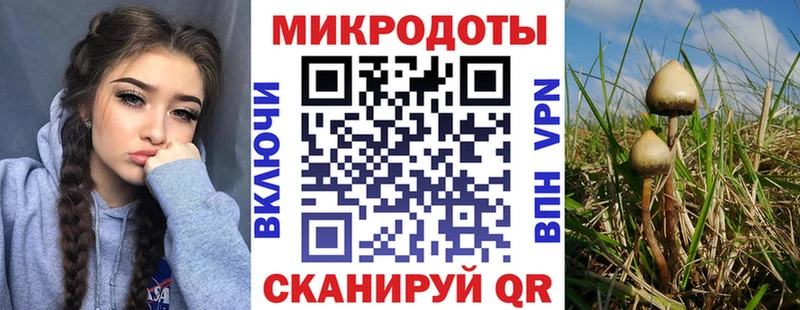 Галлюциногенные грибы Cubensis  Новочеркасск 