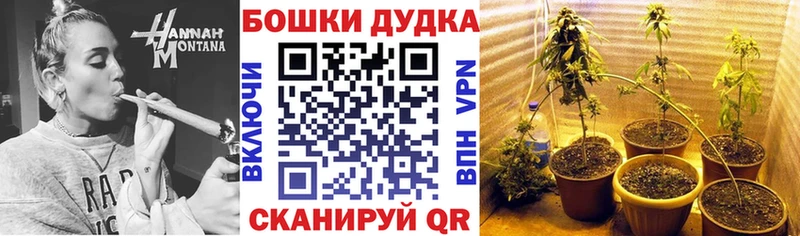 Шишки марихуана AK-47  что такое наркотик  МЕГА онион  Новочеркасск 